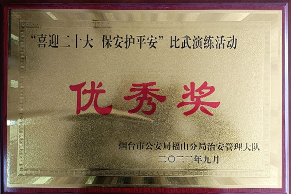 优秀奖